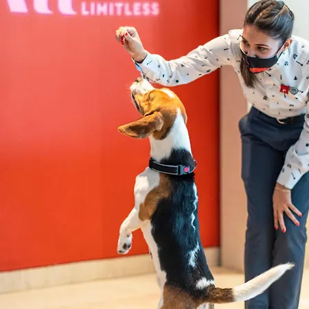 Hotel Ibis Centre Comedie