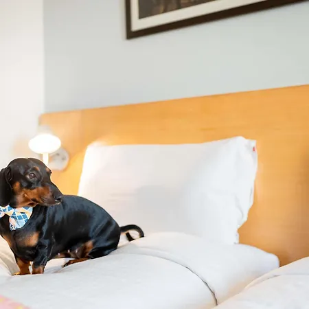 Ibis Centre Comedie 3*