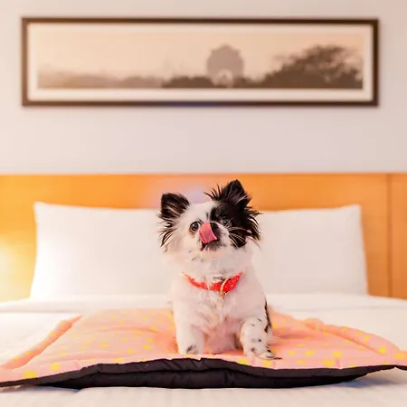 Ibis Centre Comedie Hotel