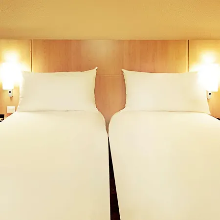 Ibis Centre Comedie Hotel 3*