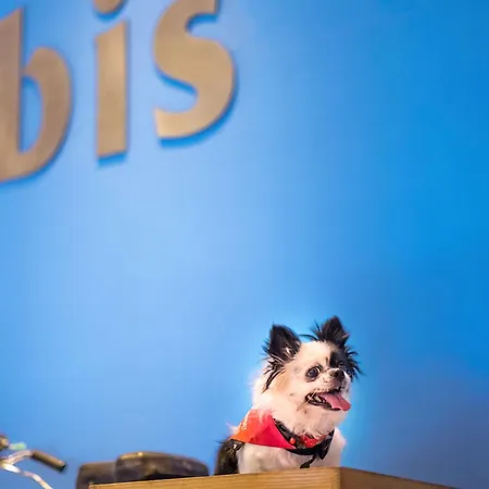Szálloda Ibis Centre Comedie 3*