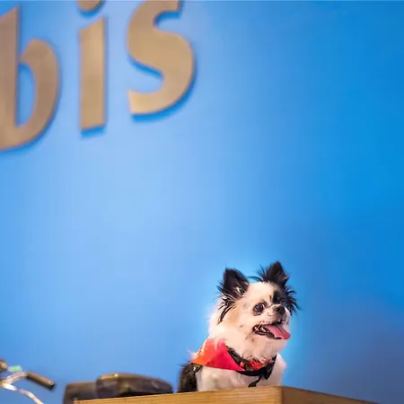 Ibis Centre Comedie 호텔