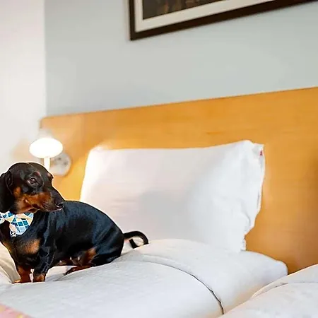 Hotel Ibis Centre Comedie