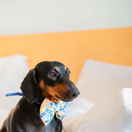 Ibis Centre Comedie 3* Montpellier