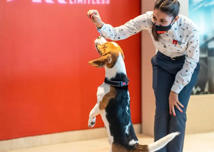 Hotel Ibis Centre Comedie