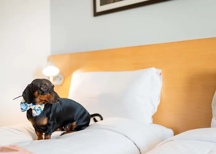 Ibis Centre Comedie 3*